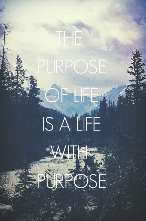 What's the Purpose of Life?