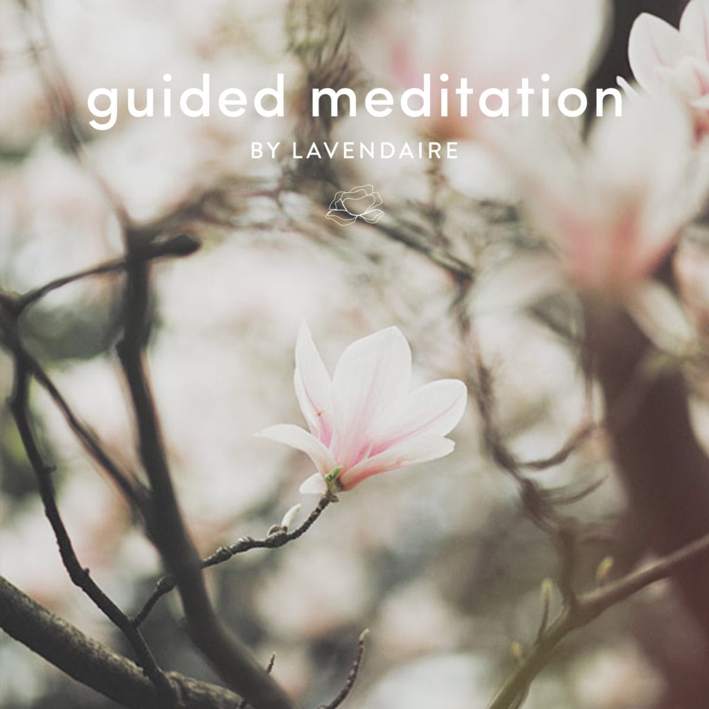 Guided Meditation For Self Love Lavendaire