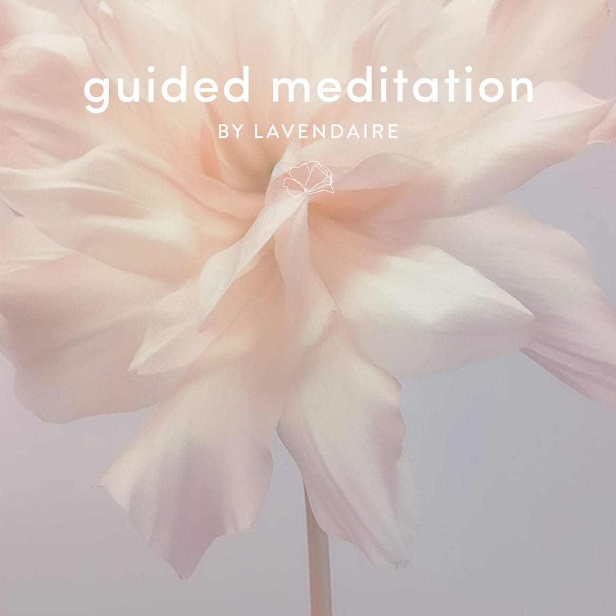 5 min abundance meditation