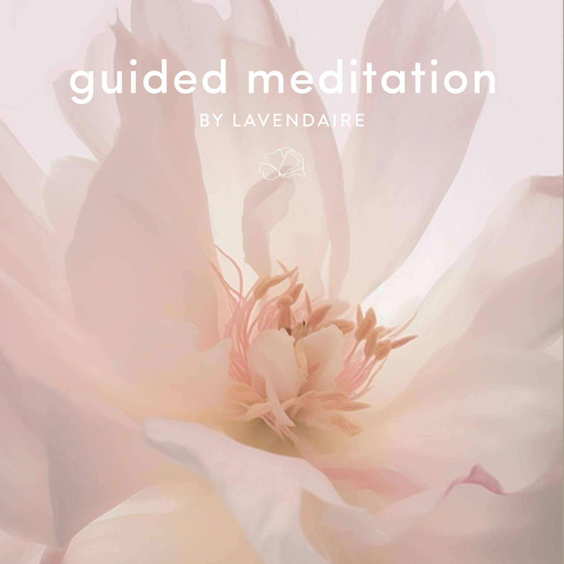 2025 morning meditation